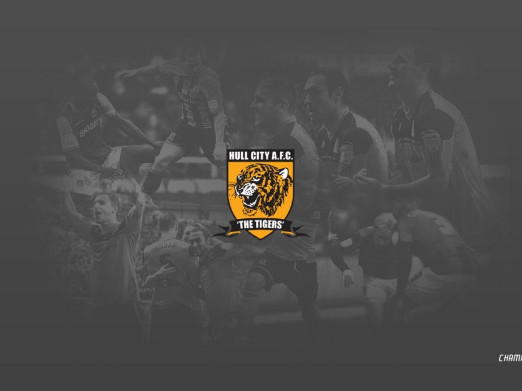 Возлюбленный ФК Англии Халл Сити