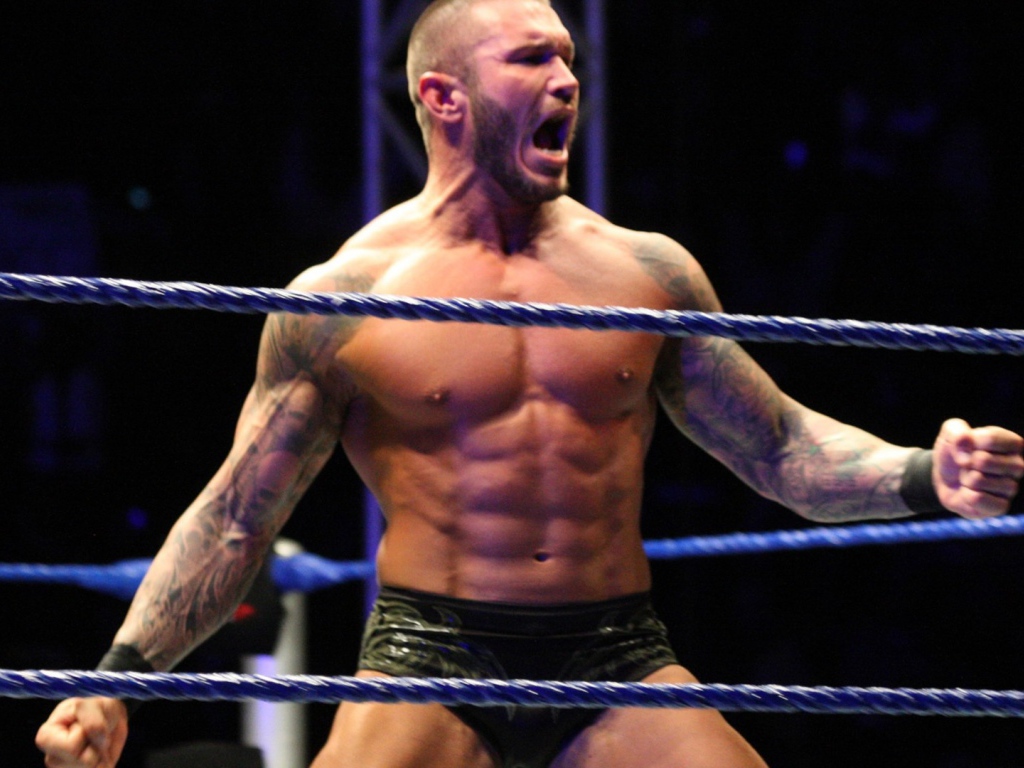 Боксер на арене