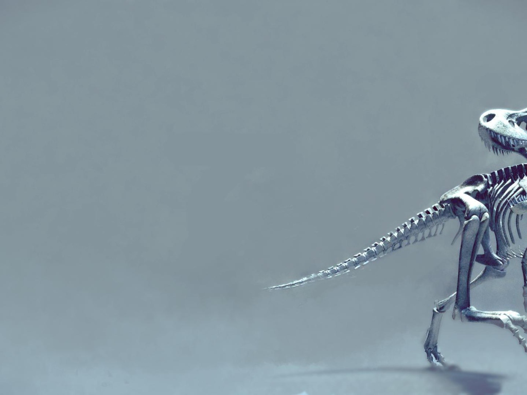 Скелет динозавра