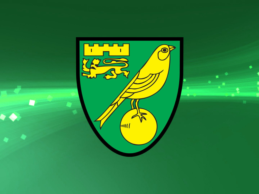 Известный Футбольный клуб Норвич