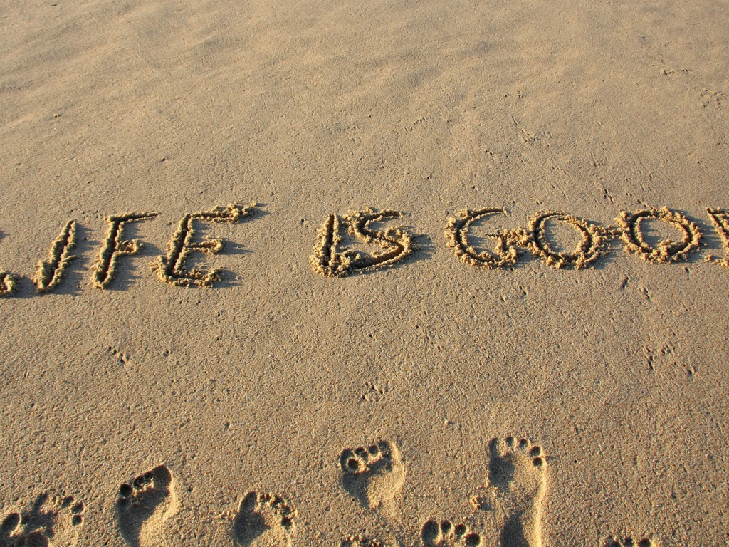 Жизнь хорошая штука