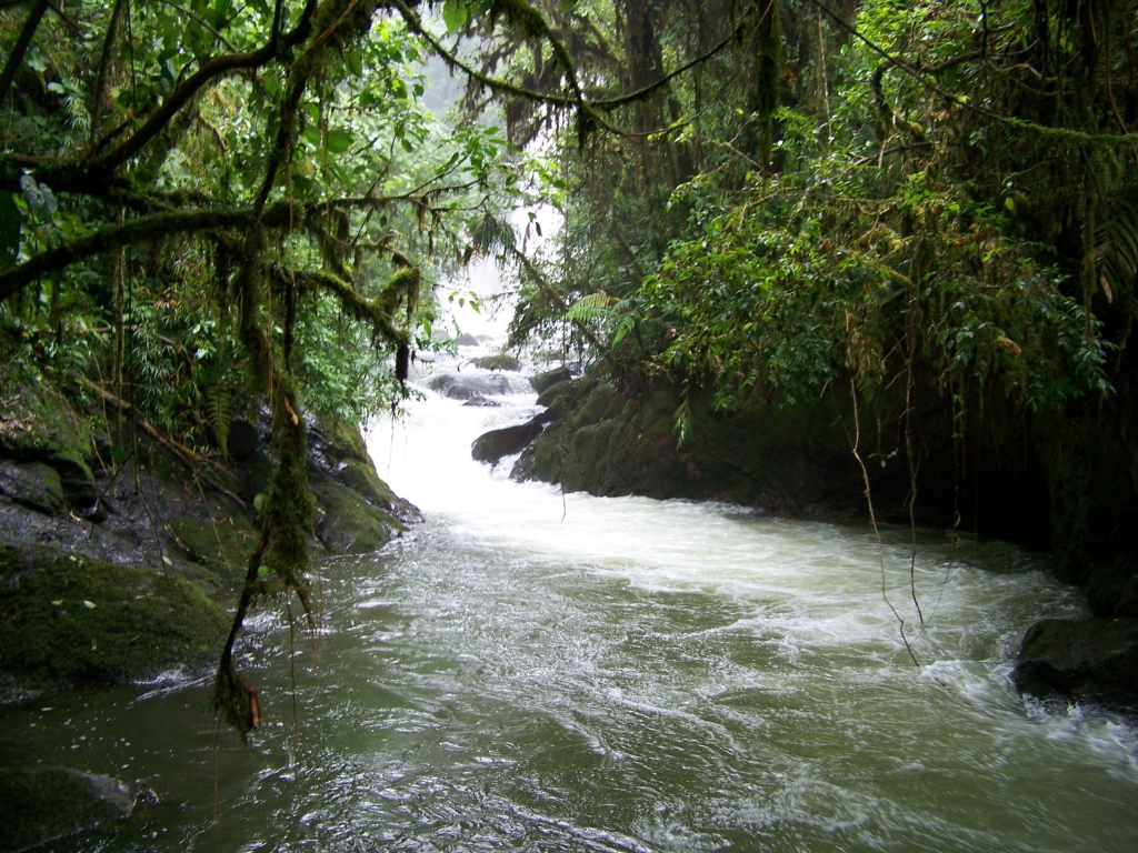 Водопад и река в Коста-Рика