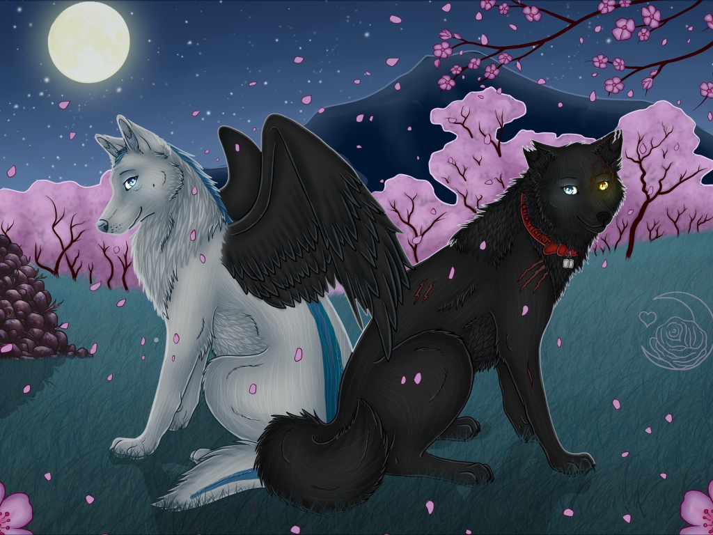 Волки с крыльями