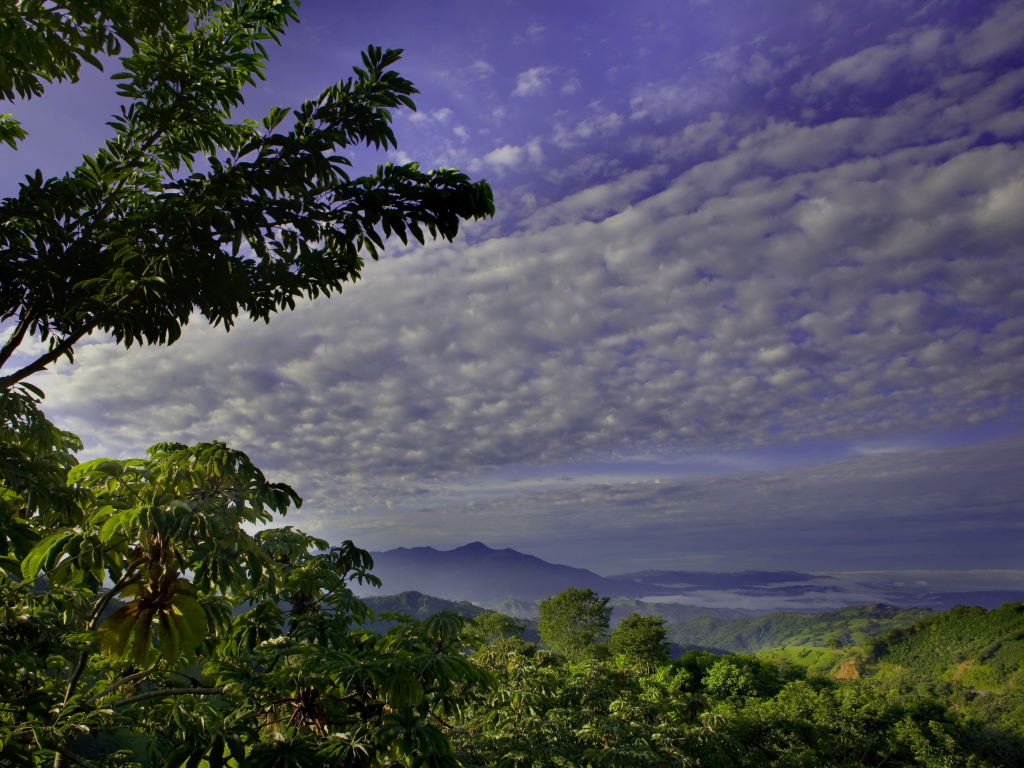 Великолепная страна Коста-Рика