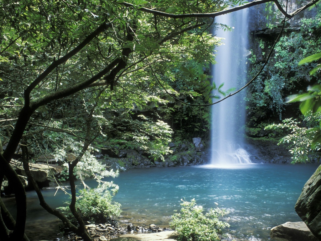 Невероятное место в Коста-Рика 