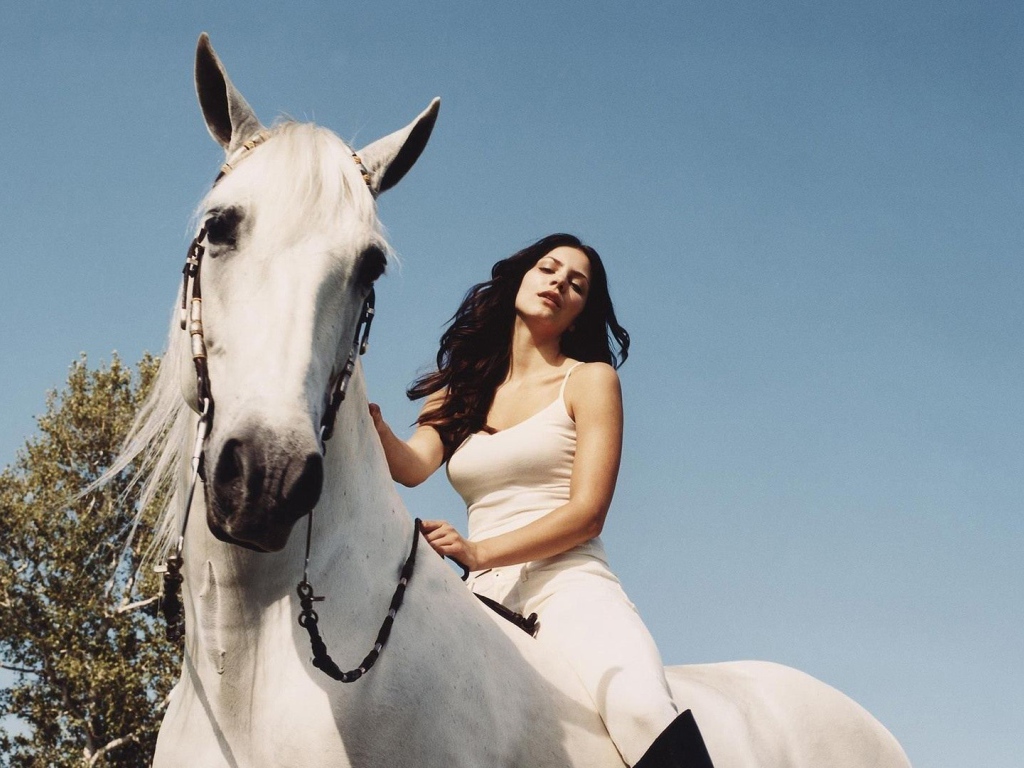 Катарина на белой лошади