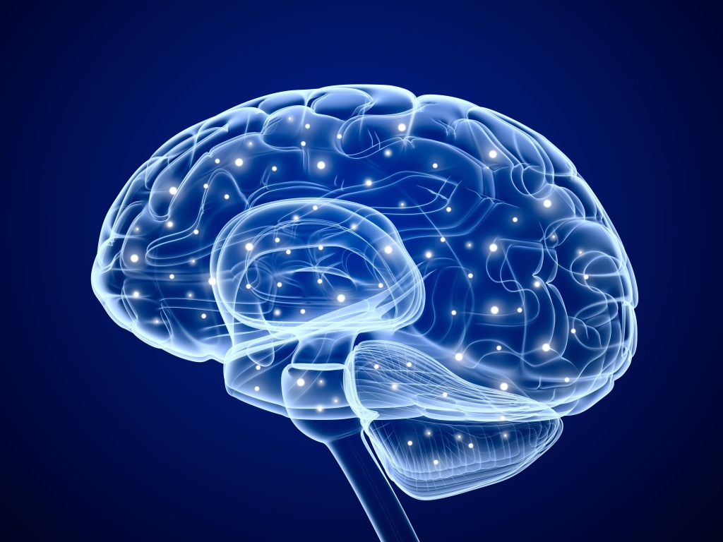 Электрические сигналы мозга