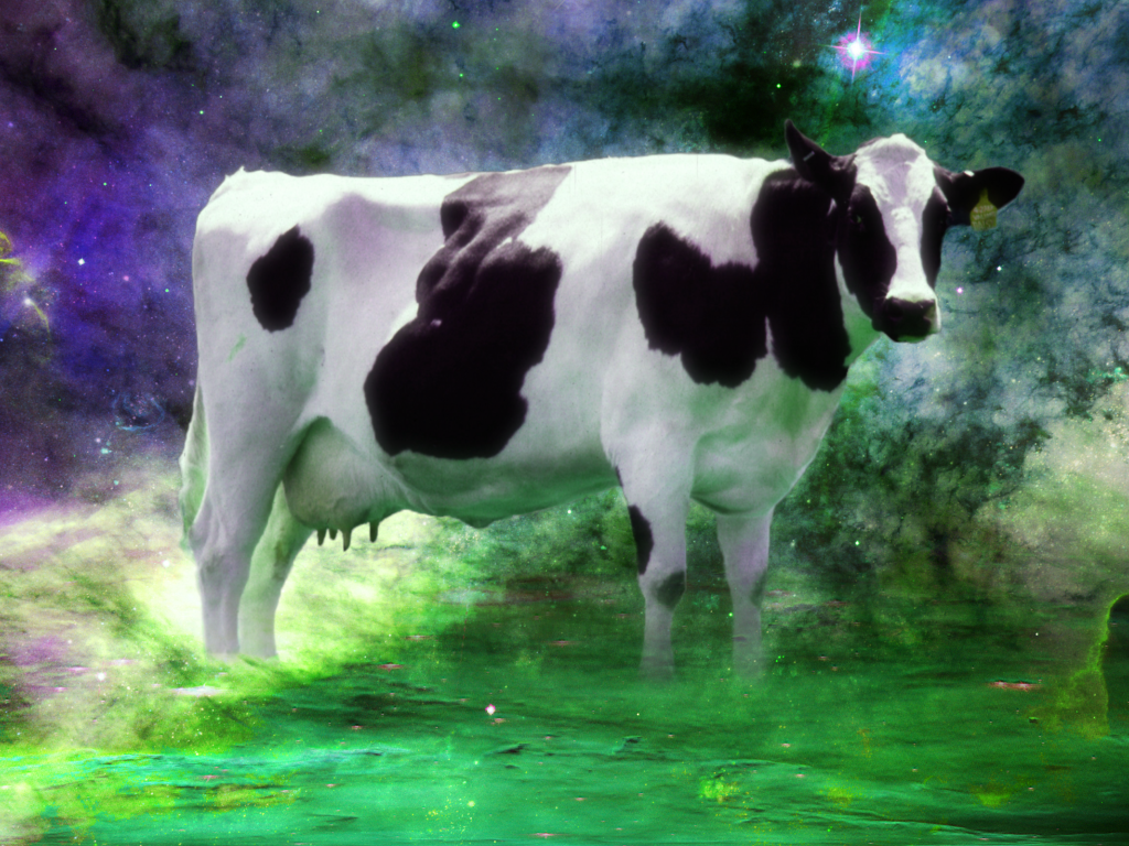 Корова среди звезд