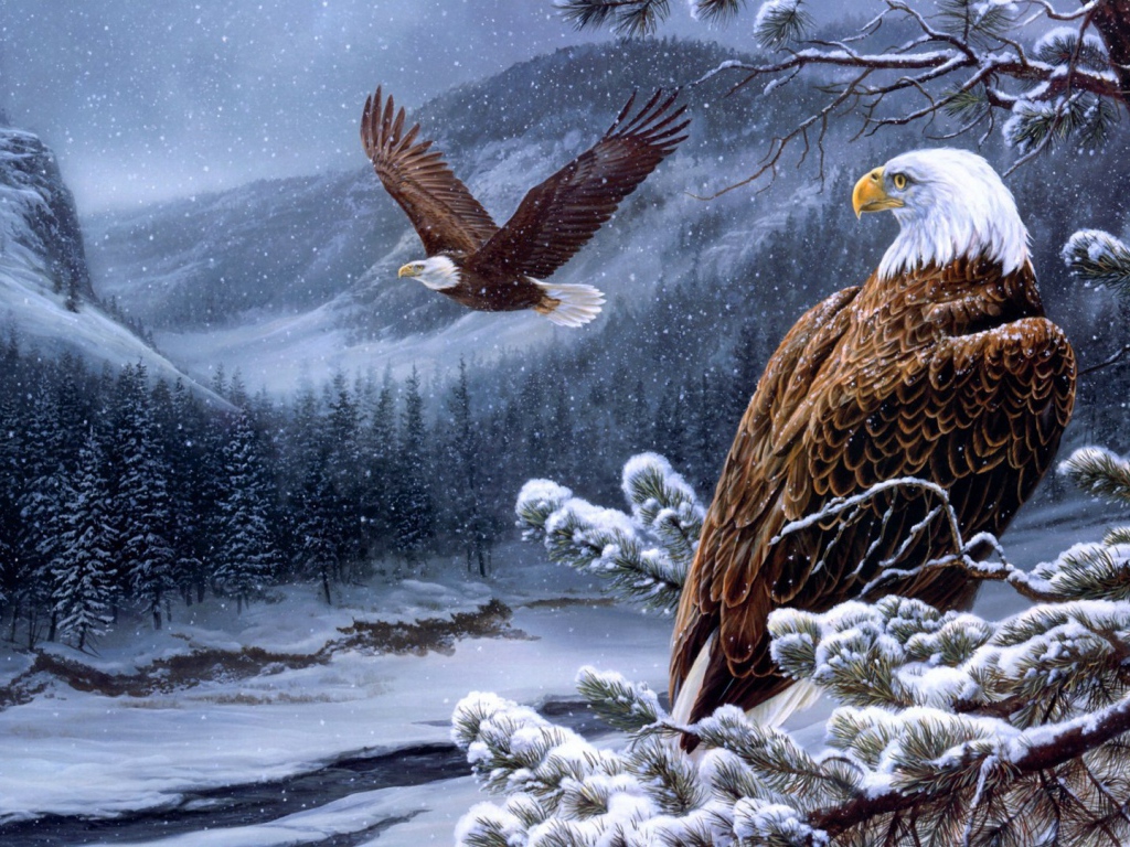 Белоголовые орланы в горах