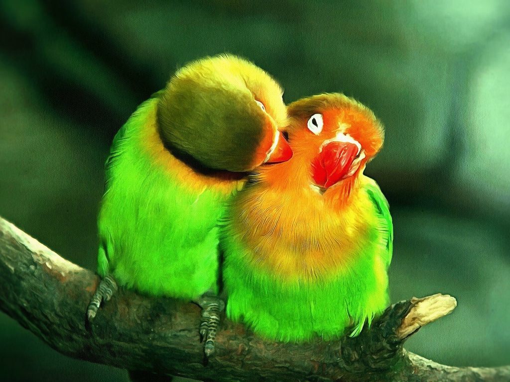 Два милых зеленых попугая на ветке дерева