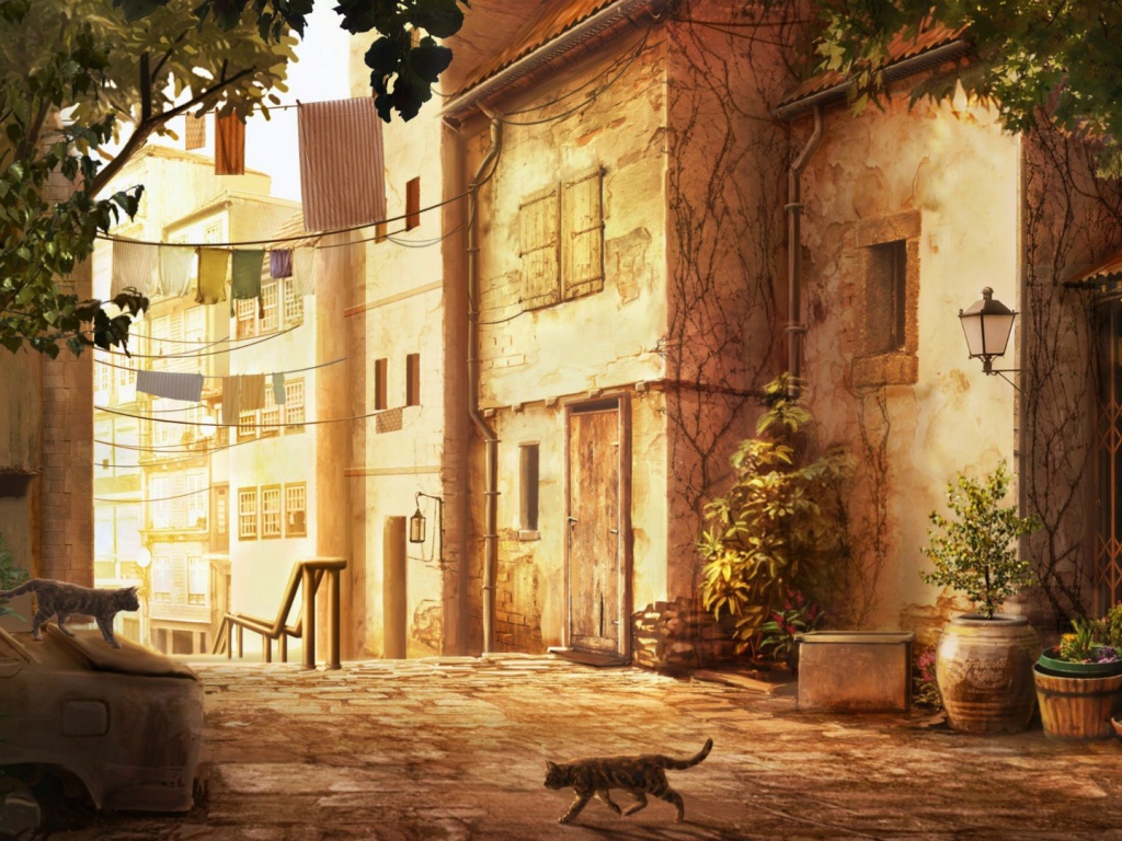 Кошка переходит дорогу