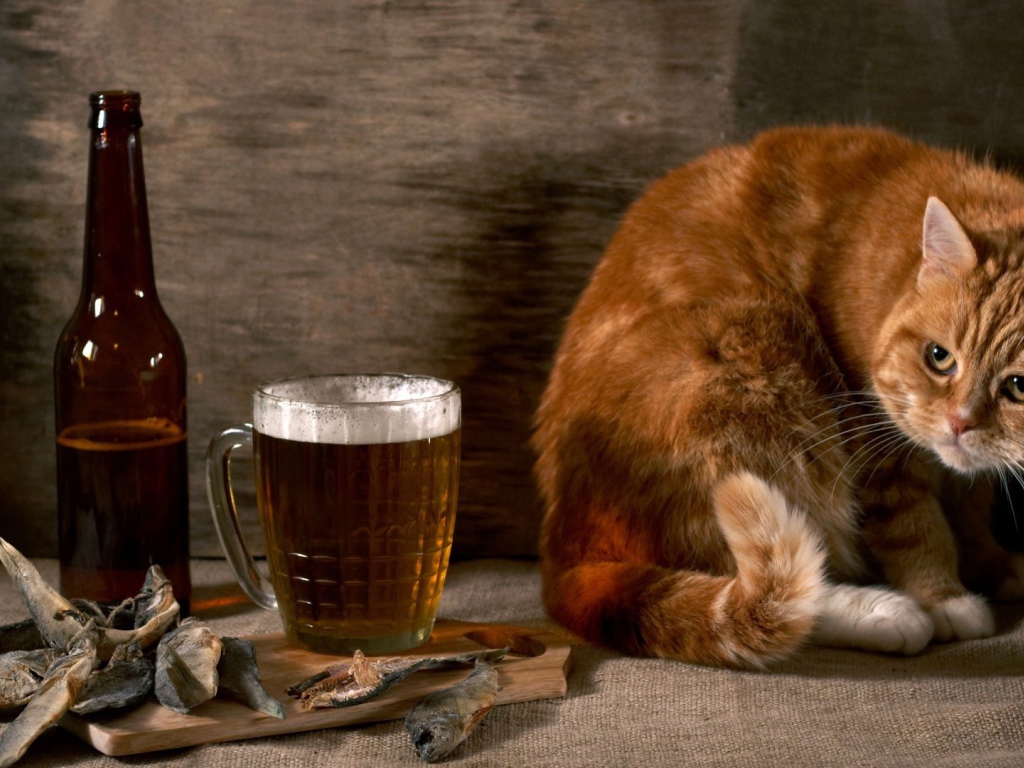 Рыжик тоже хочет пива