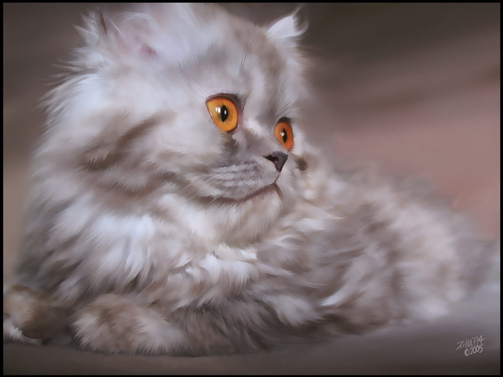 Серебристый  котенок