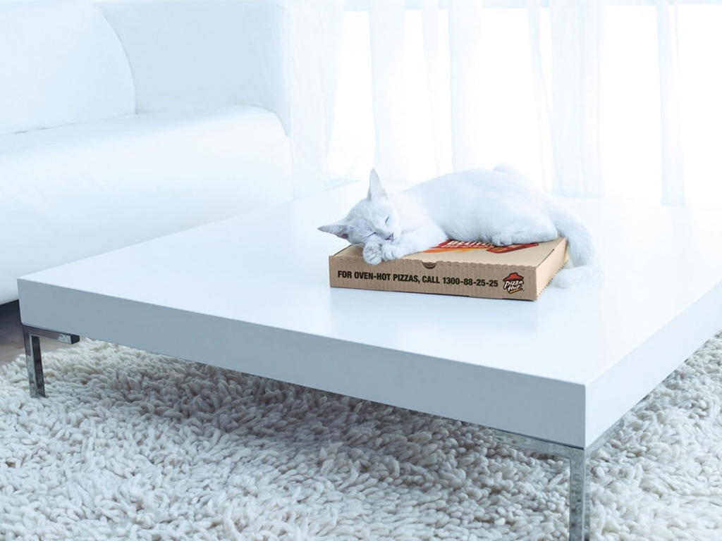 Белый кот спит на коробке на столе