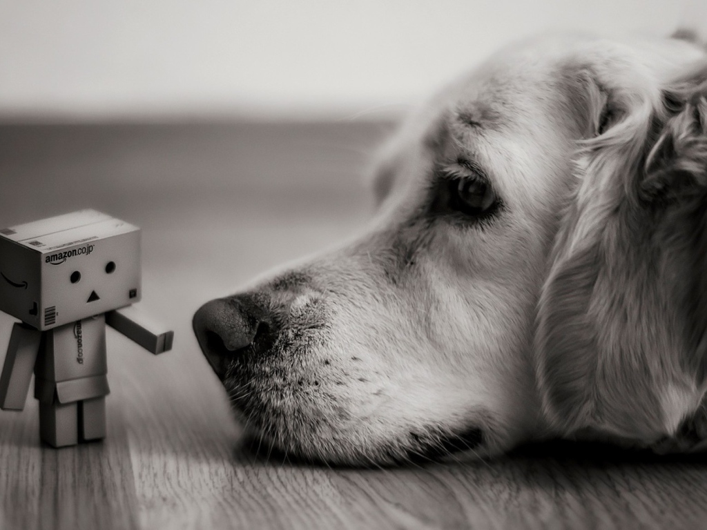 Человек из картона у носа собаки