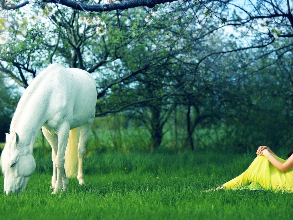 Белая лошадь и девушка в желтом платье