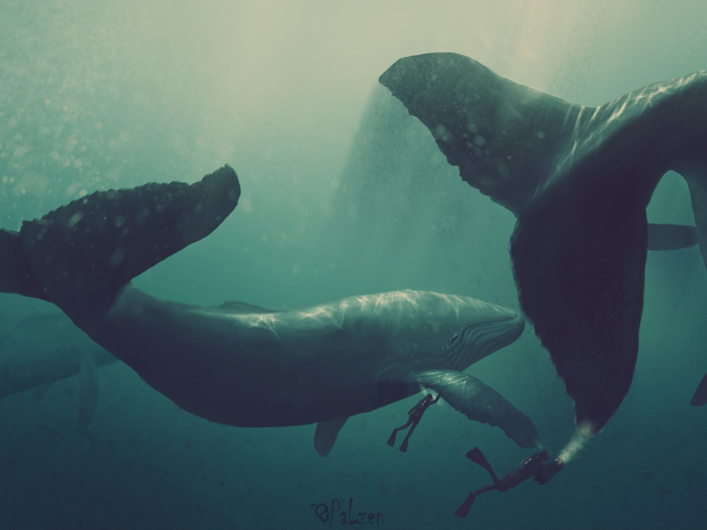 Киты и водолазы