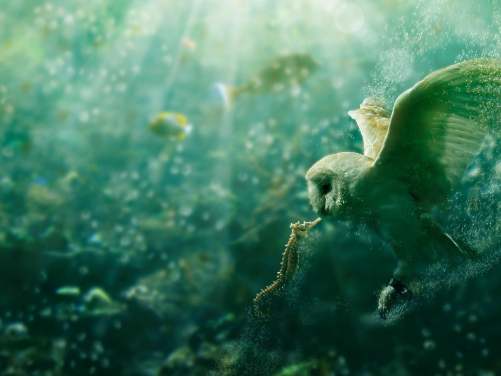 Сова и морской конек под водой