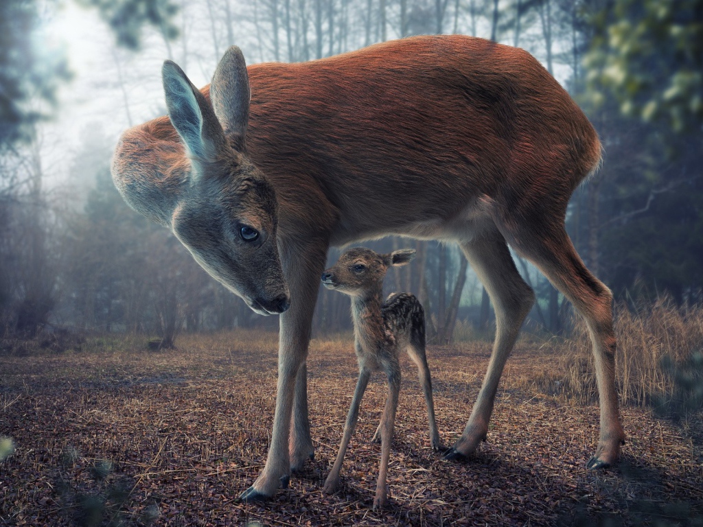 Мама с олененком