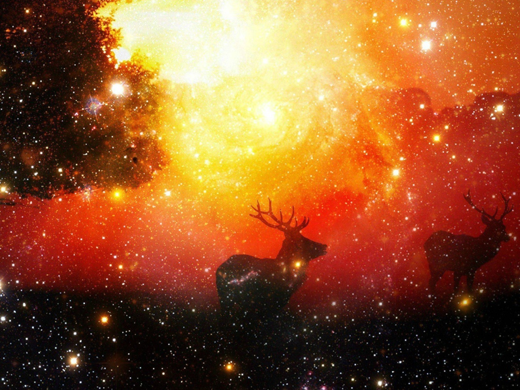 Олени среди звезд