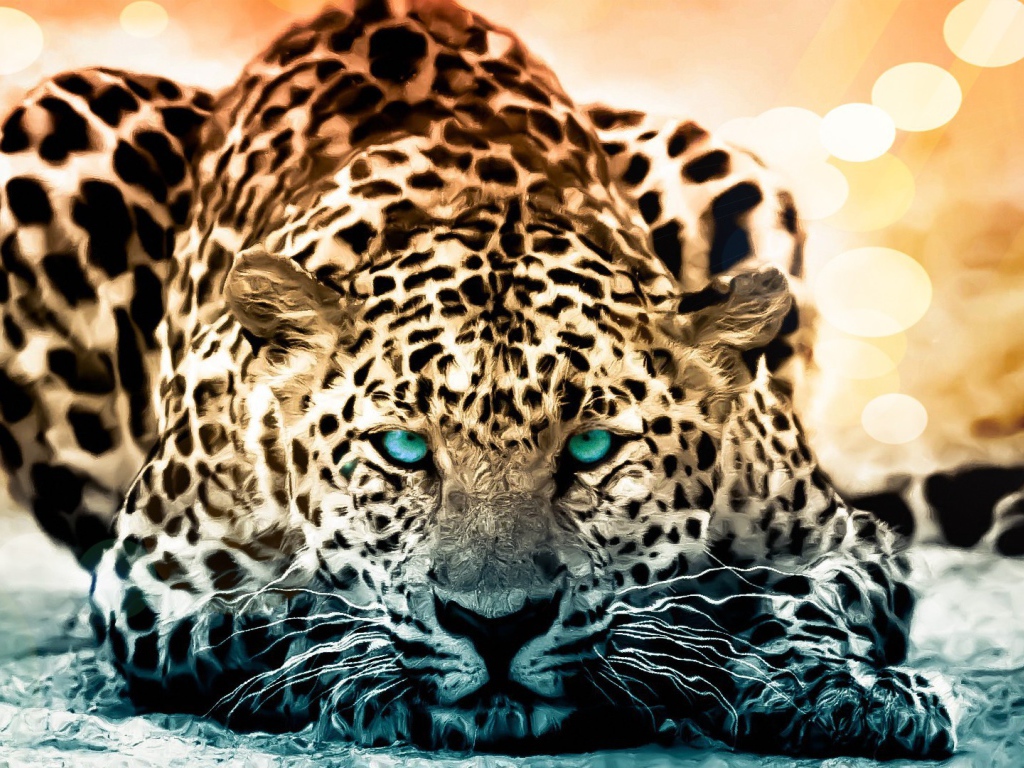 Голубоглазый красивый леопард