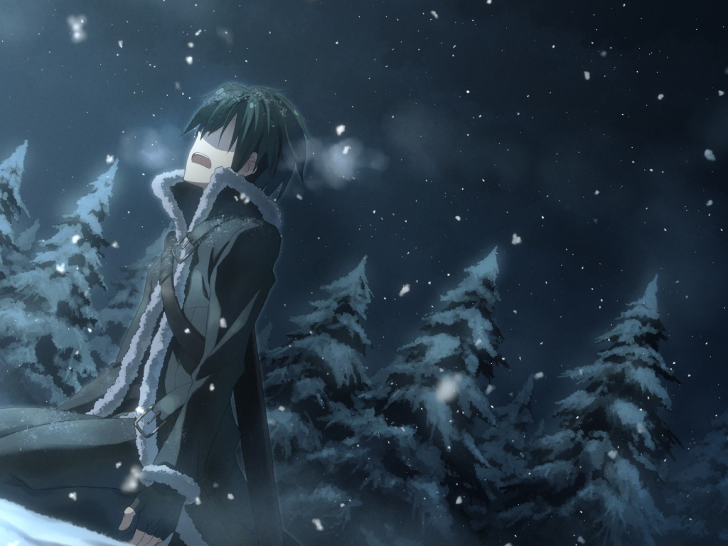 Одинокий герой аниме Sword Art Online