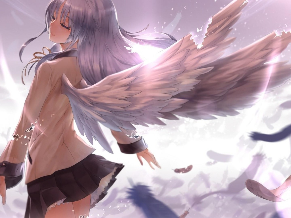 Девушка с крыльями, аниме Kantoku