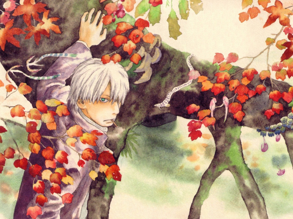 Главный герой аниме Мастер Муси