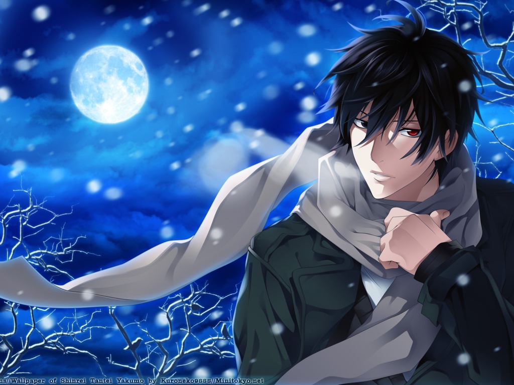 Якумо из аниме Shinrei Tantei Yakumo