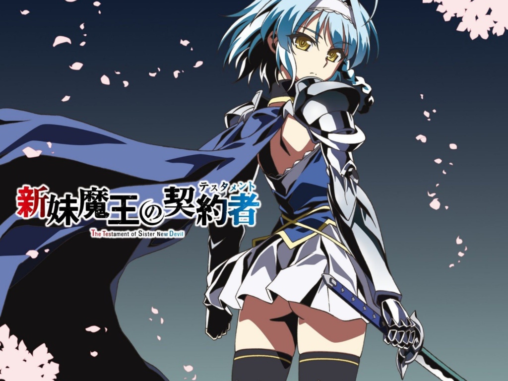 Юкки Нонака из аниме По велению адской сестры