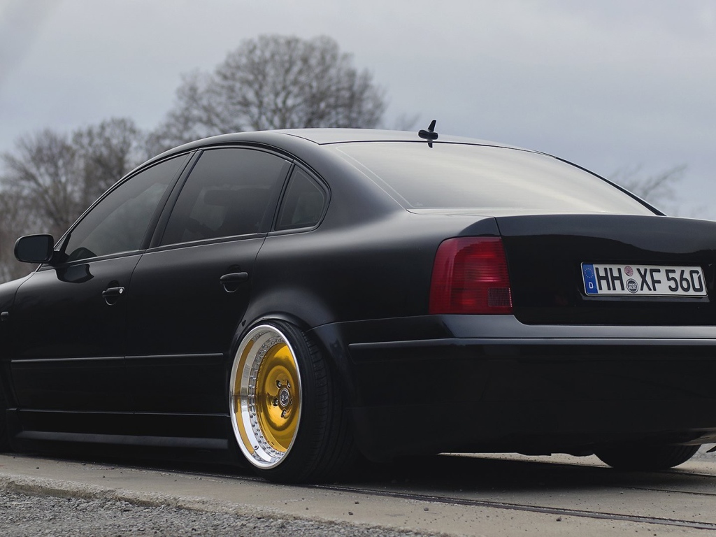 Золотые диски на автомобиле