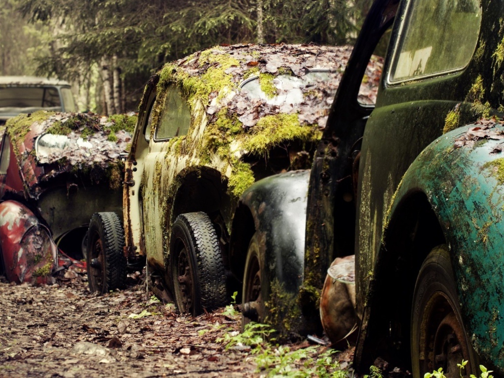 Остатки старых брошенных автомобилей