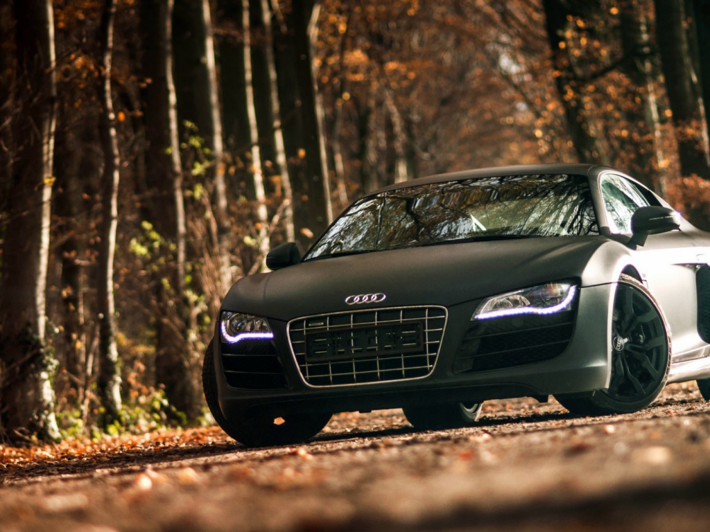 Двухдверный черный Ауди в лесу