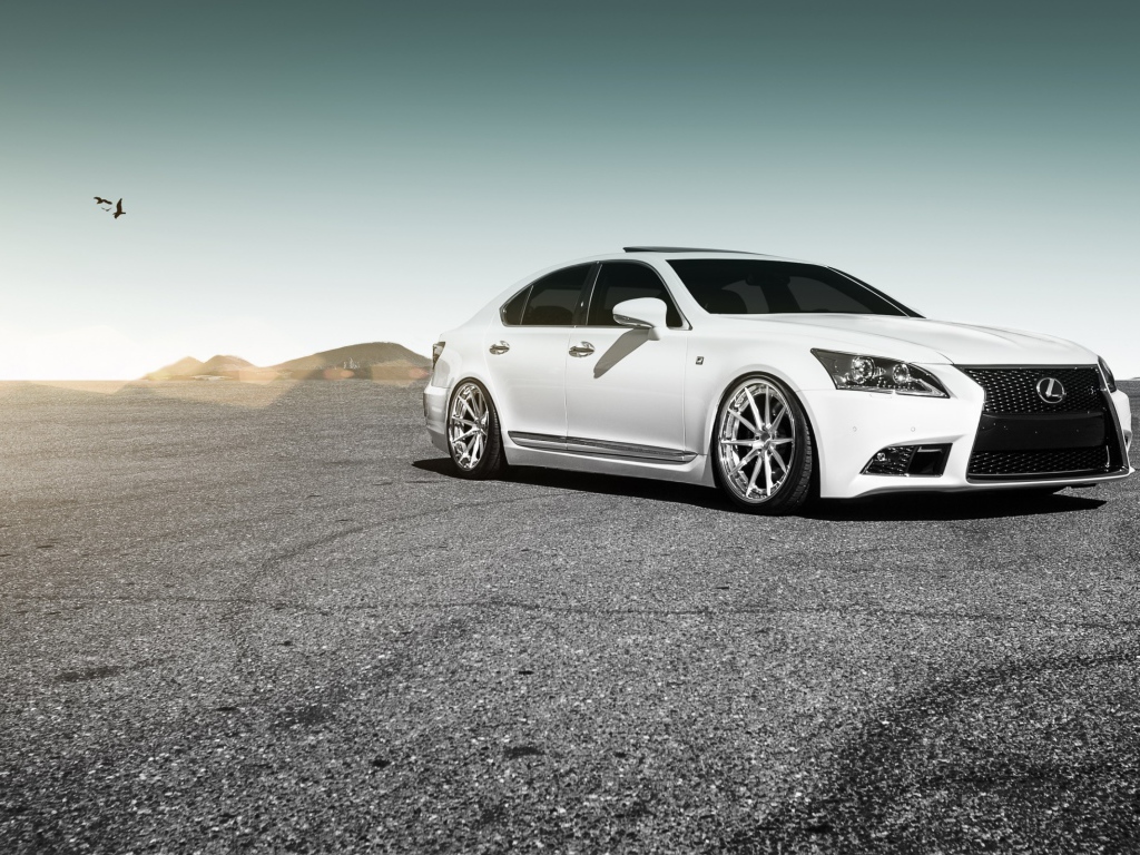 Белый Lexus на серой гальке