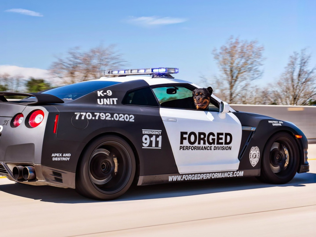 Полицейский Nissan GT-R