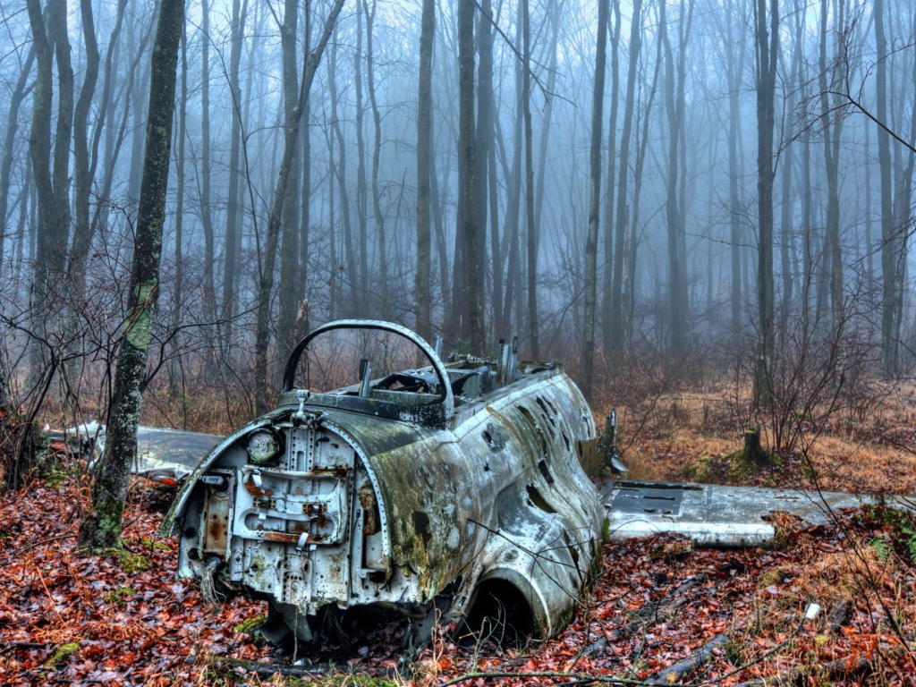 Обломки самолета в лесу