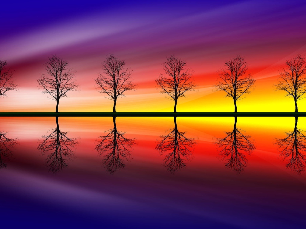 Голые деревья на фоне красочного заката