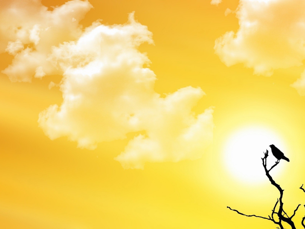 Птичка на ветке, желтый фон