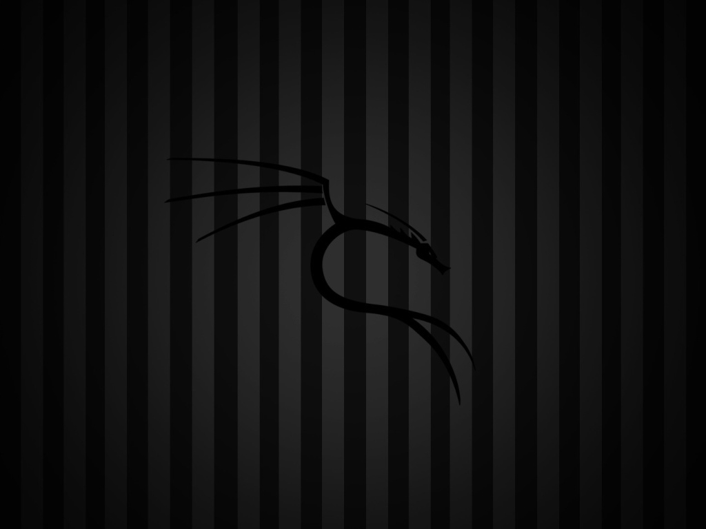 Черный фон Kali Linux