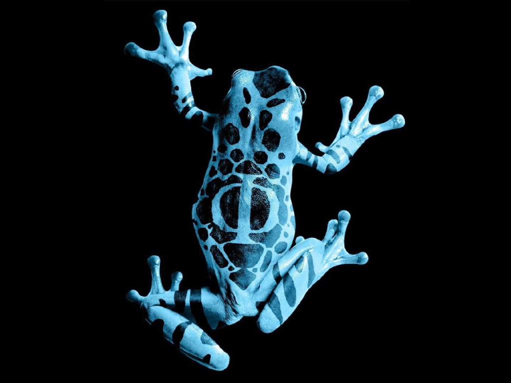 Голубая лягушка на черном фоне