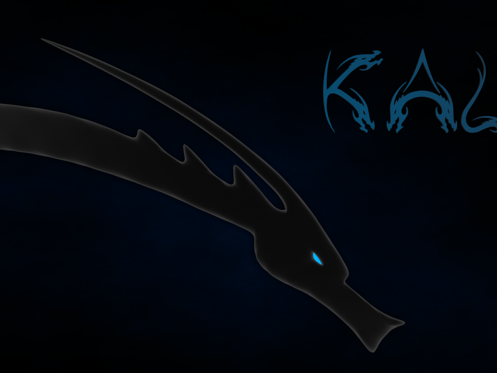 Темно синий фон Kali Linux