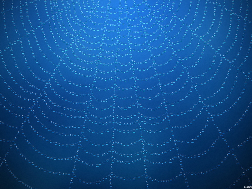 Роса на паутине, голубой фон