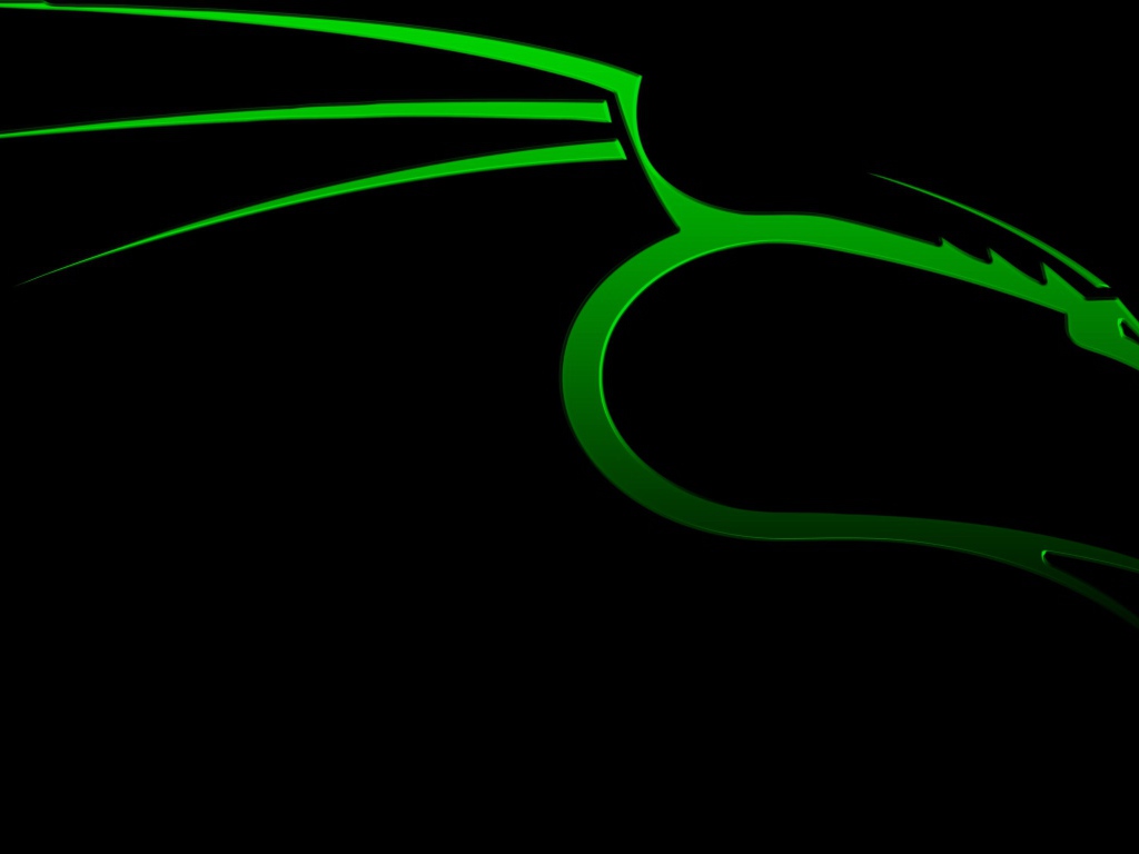 Зеленый дракон на черном фоне Kali Linux