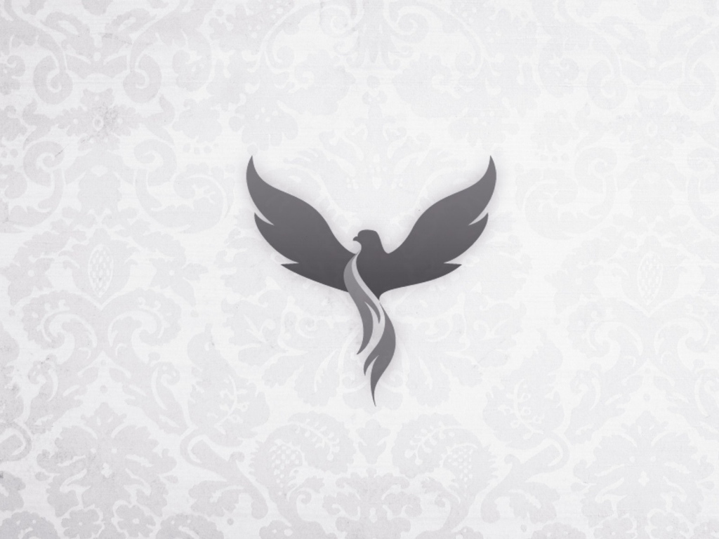 Серый феникс на светлом фоне