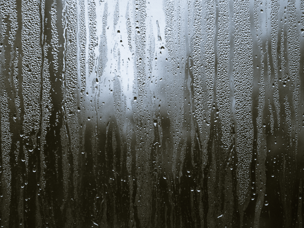 Свет за мокрым стеклом