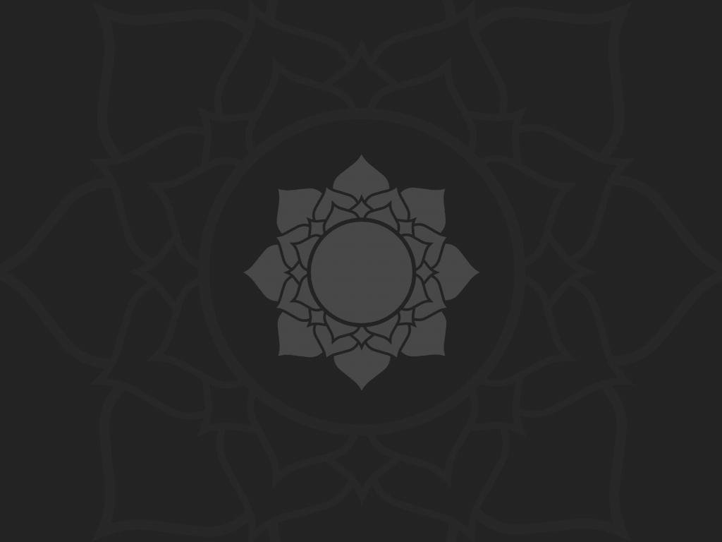 Цветок лотоса, темно серый фон