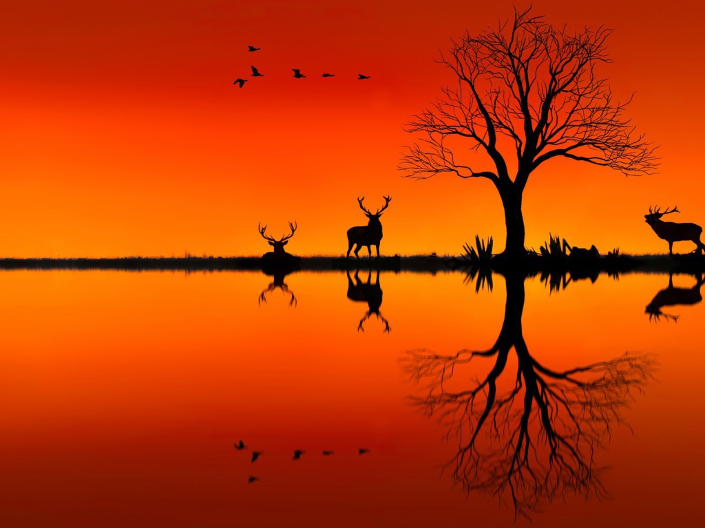 Силуэты оленей на оранжевом фоне