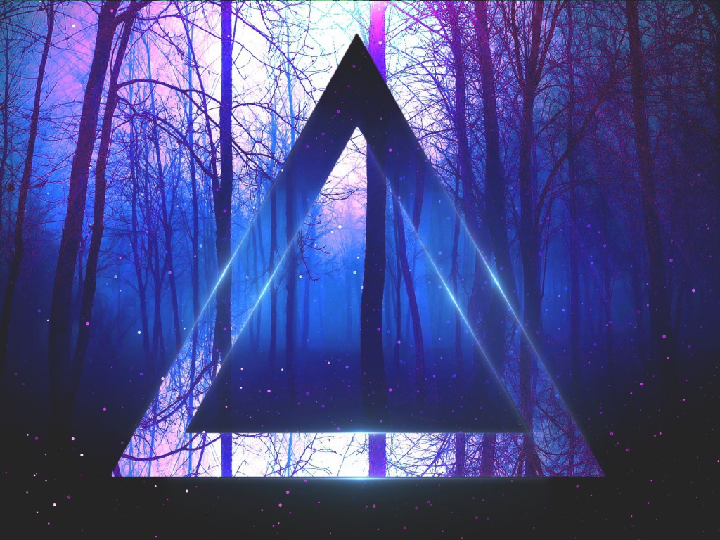 Треугольник на фоне веток