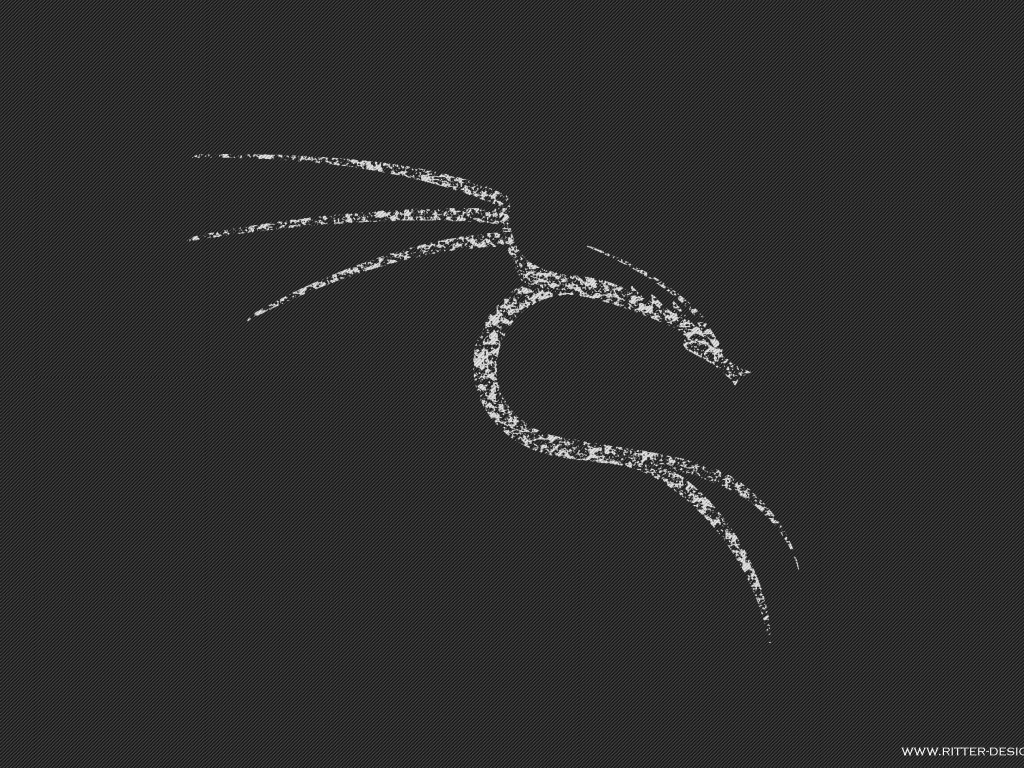 Белый дракон Kali Linux NetHunter