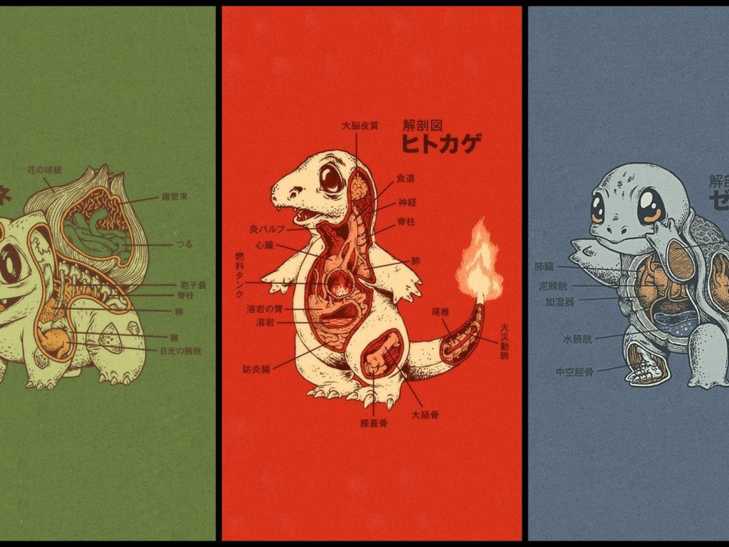 Анатомия разных покемонов